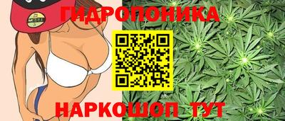 гашиш Новодвинск