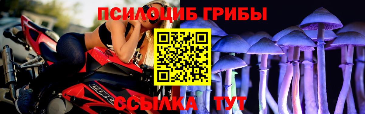 Псилоцибиновые грибы Cubensis Пугачёв