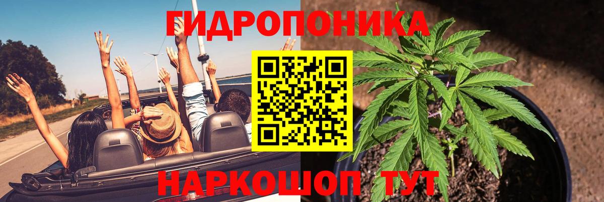 Пугачёв  Бошки марихуана SATIVA & INDICA  Вход с VPN  Каннабис гибрид  Канабис White Widow  Шишки марихуана MAZAR 